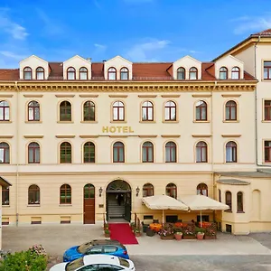 Bayerischer Hof Hotel Dresde